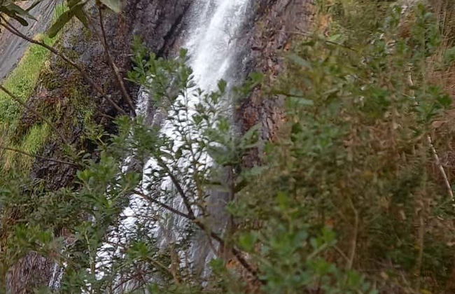 La Piedra Letrada Petroglyphs Day Trip - Photo 8