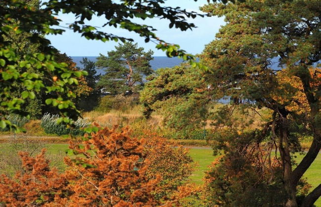 Apartment With 1 Bedroom and Balcony - Photo 7