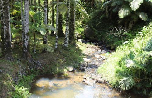 Recanto Hellmann - Foto 24