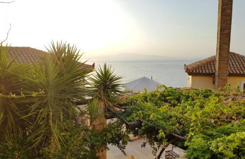 Vrachokipos - Foto 42