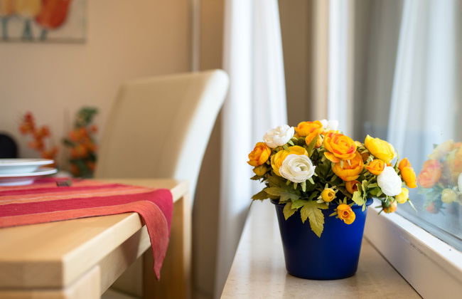 Sonnenblume (B615) - Foto 12