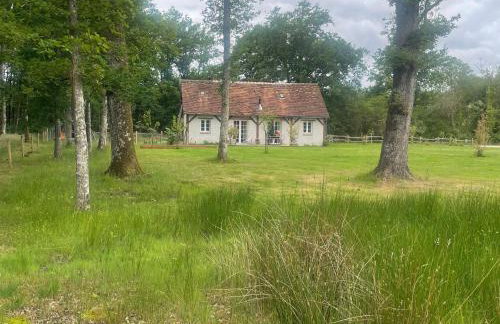 Gîte cosy en Sologne, nature et pêche, tout inclus - FR-1-590-549 - Foto 16