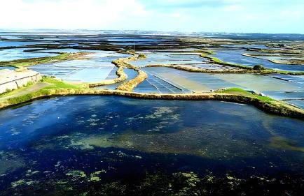 Le Refuge Salin Duplex Jardin - Foto 19