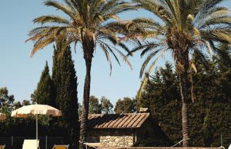 Podere Gli Olmi - Foto 17