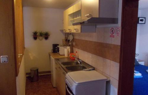 Apartments Pavlić - Foto 55