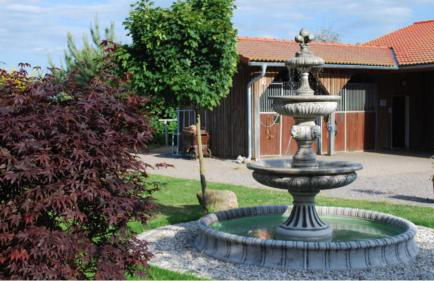 Gestüt Tiefenhof - Foto 11