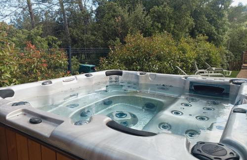 Vigne et cigale - Foto 6