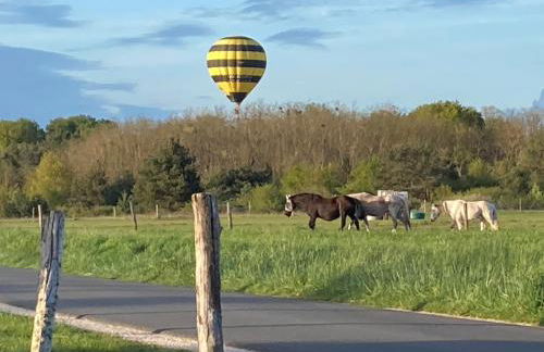 GITE DE LA CAZELLERIE - Foto 19