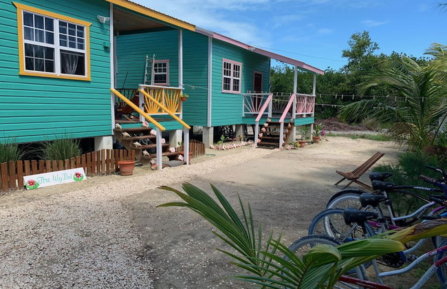 The Lily Pad II - Foto 20