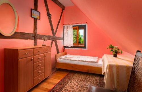 Zagroda Chłopska - Foto 45