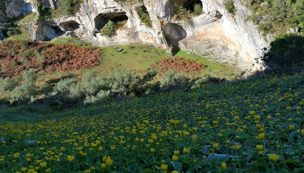 Slate Villages Tour of the Serra da Lousã - Foto 5