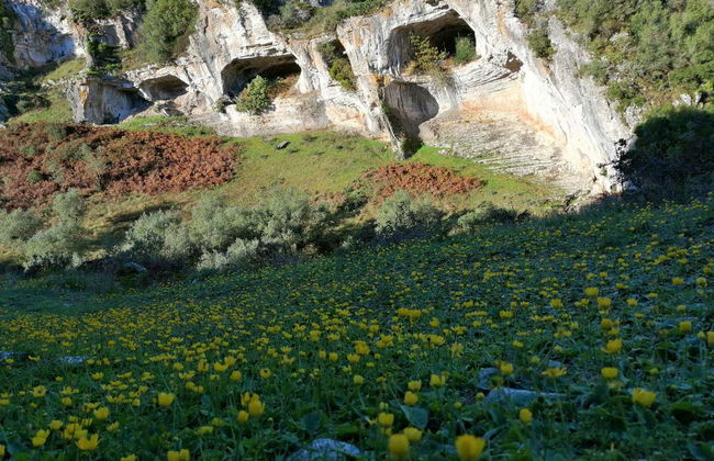 Tour por las aldeas de pizarra de la Sierra de Lousã - Foto 5
