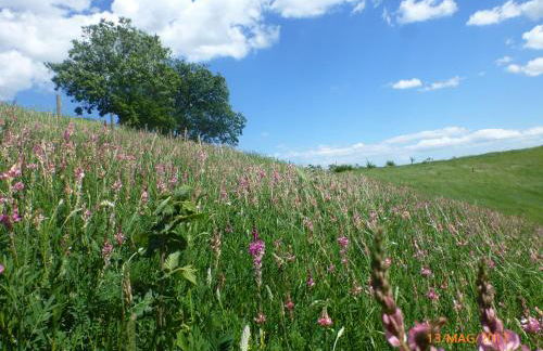 Casa della Casa - Foto 50