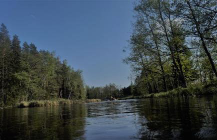 Farmstay Marianówka u Tesi - Foto 17