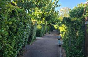 La maison jaune - Photo 7