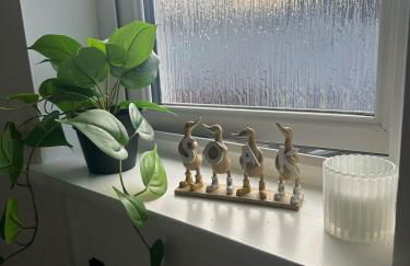 Black Daisy - Foto 72