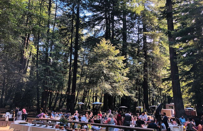 Redwoods River Resort - Foto 68