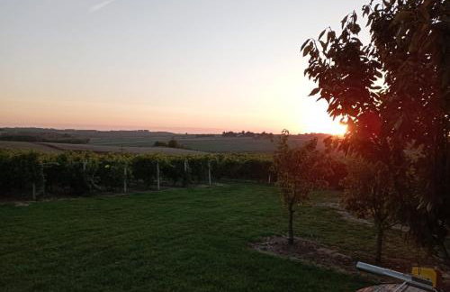 Domki w Winnicy - Świętokrzyska Winnica Knapów - Foto 14