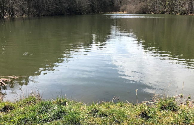 Holiday Home Near Harzgerode With Whirlpool - Foto 31