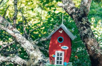 Just Like Home - Quinta da Cavada em Vilar de Mouros - Foto 36