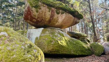 Ferienland Sonnenwald Fewo 46 und Studio 50 in Schöfweg Bayerischer Wald - Foto 2