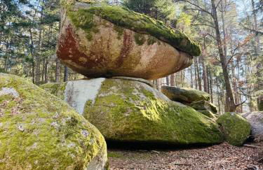 Ferienland Sonnenwald Fewo 46 und Studio 50 in Schöfweg Bayerischer Wald - Foto 2