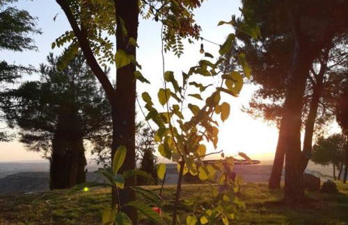Puerta Laguna - Casa con parcela - Foto 6