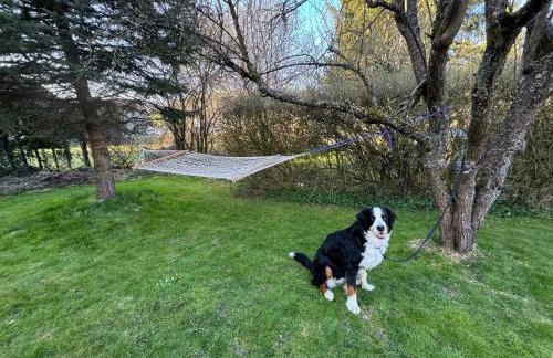 Waldzauber - Moderne Ferienwohnung im Grünen - Foto 19