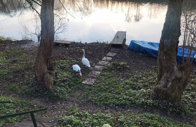 Sazava River Cottage With Boating Experience - Foto 19