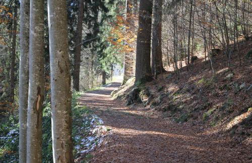 Wehr Orchidee Apartment - Foto 35