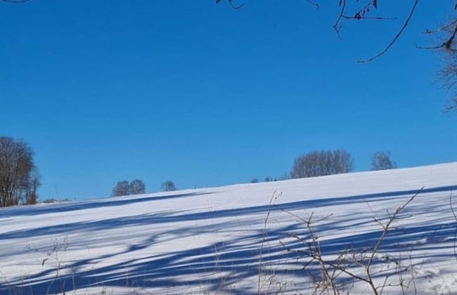 Holiday Home in Willersdorf With Outdoor Sauna - Photo 31