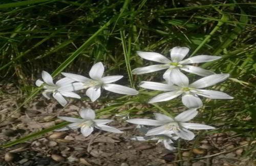 Elegant apartment in resort with swimming pool featuring nature and tranquillity - Foto 57