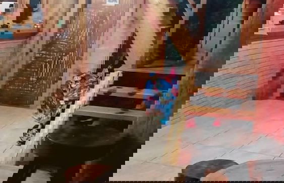 Chalé sol nascente - Foto 25