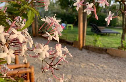 Quinta Vale Salgueiro - Foto 24