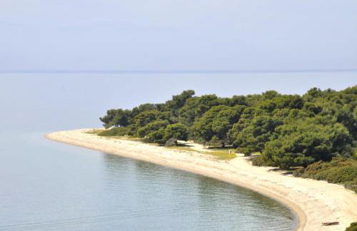 Heracles Guesthouse - Photo 20