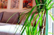 Aquarius Porto Boszkowo Sauna Apartamenty - Foto 8