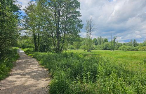 Łosiowa Buda - Foto 13