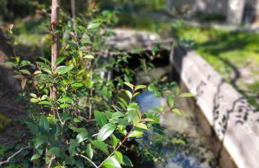 Le Moulin Belle Maison 180m2 et 5 chambres - Foto 20