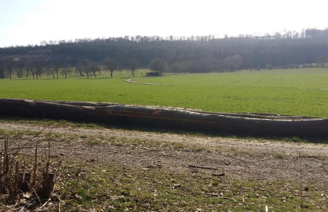 Wohnung im Teutoburger Wald Externsteine - Foto 32