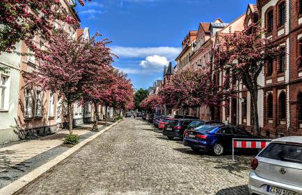 Gäste- und Ferienwohnung Gläser Zwickau - Foto 46