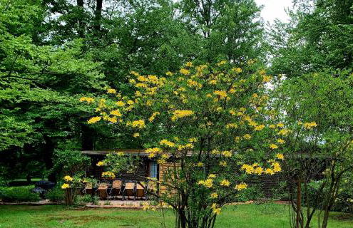 Ferienhaus Bucheneck perfekt für Familien & größere Gruppen im Seenland Lausitz - Foto 13