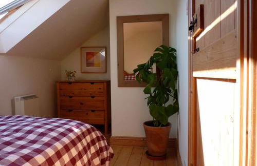 Pretty sunny cottage, Machynlleth - Photo 43