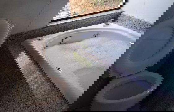 Sitio Cantinho Vovó Cida e Vovô Nilson - Foto 35