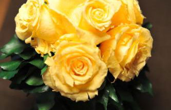 Passau - Suites - Foto 30