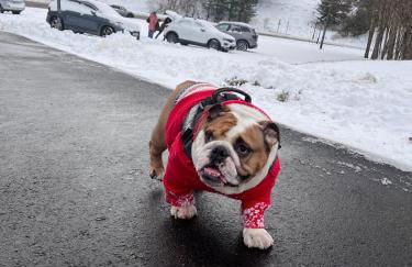 Dúplex la Molina - Foto 21