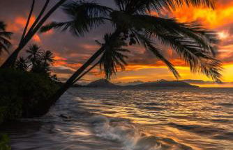 Hale Mapuana - Foto 35