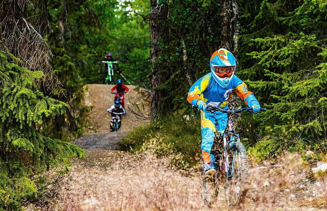 8 Person Holiday Home in Lofsdalen - Foto 20