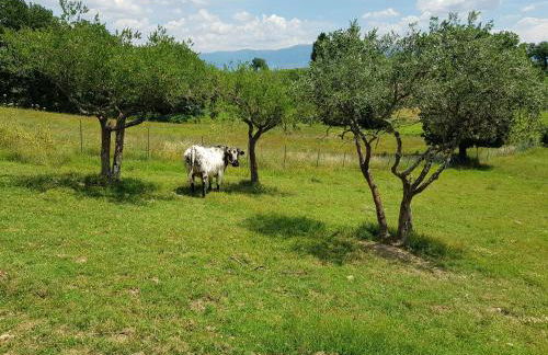 Agriturismo Arcobaleno della Torretta - Foto 40
