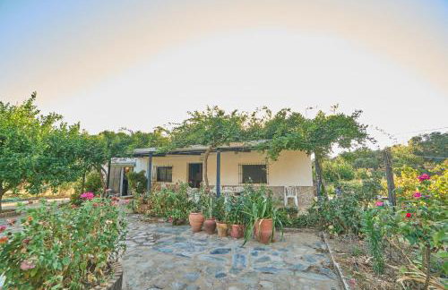 Huerta del Sol - Foto 41