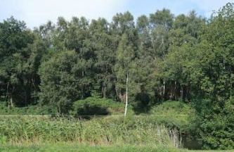 Ferienwohnung in idyllischer Lage - Foto 20